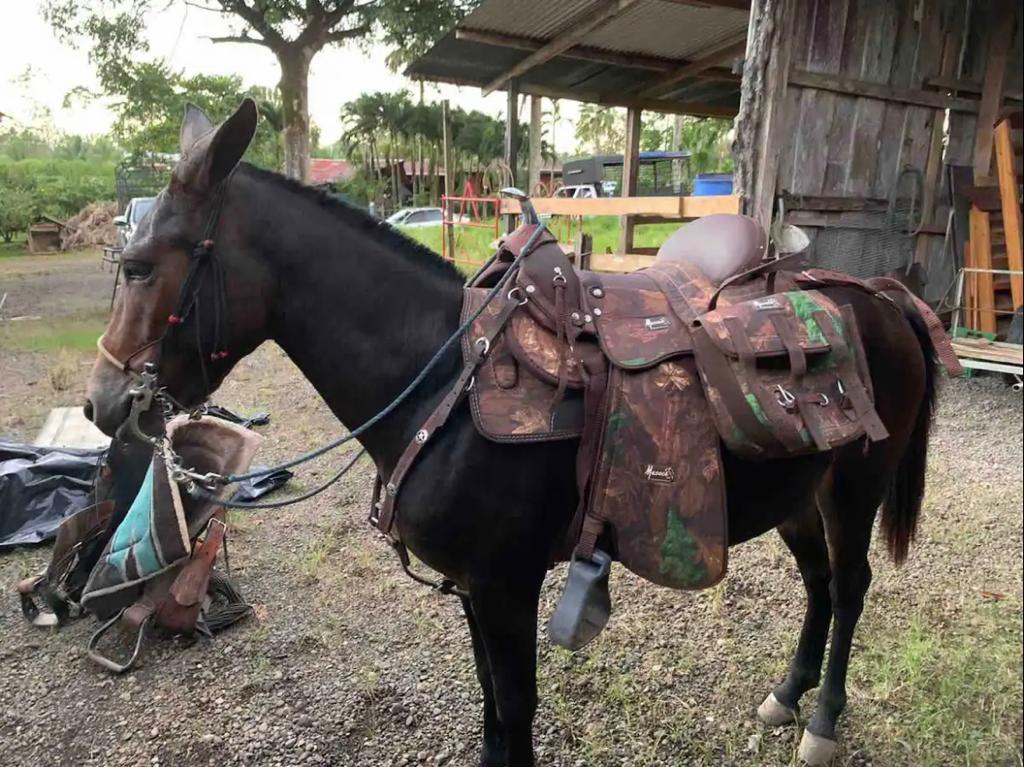 Cabin Eco Container Relaxing outdoor lounge area at the EcoContainer cabin with panoramic views of La Fortuna's natural landscape.